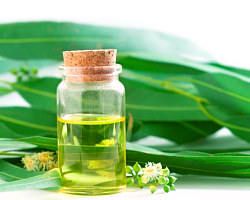 Eukalyptový aromatický olej